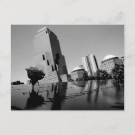 Cartão Postal Rosa branca da memória