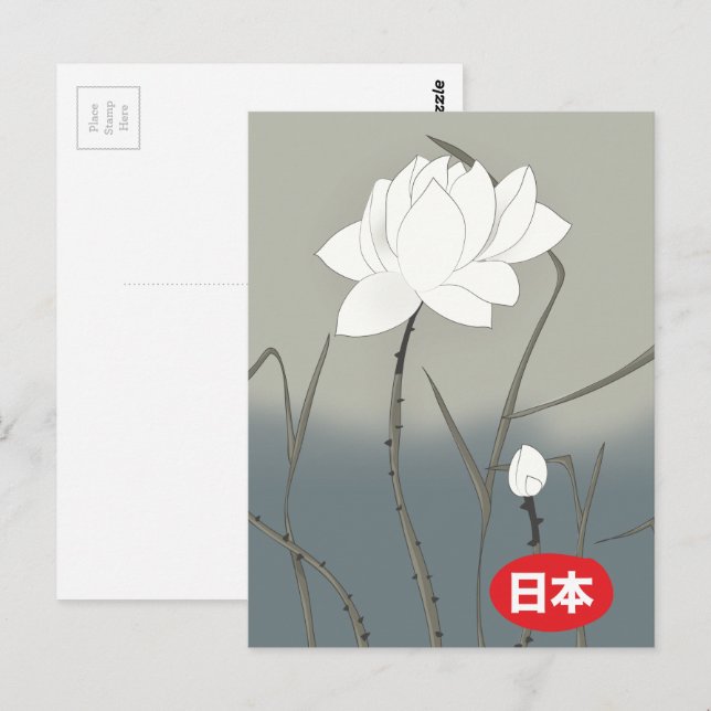 Cartão Postal Rosa Branca Japonesa (Frente/Verso)