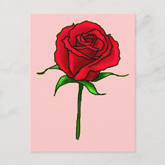 Cartão Postal Rosa Bud