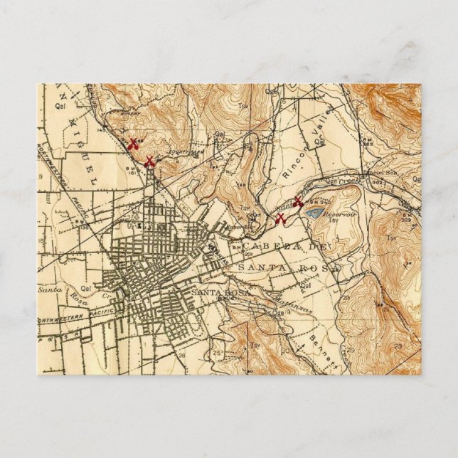 Cartão postal Rosa CA Papais noeis (Frente)