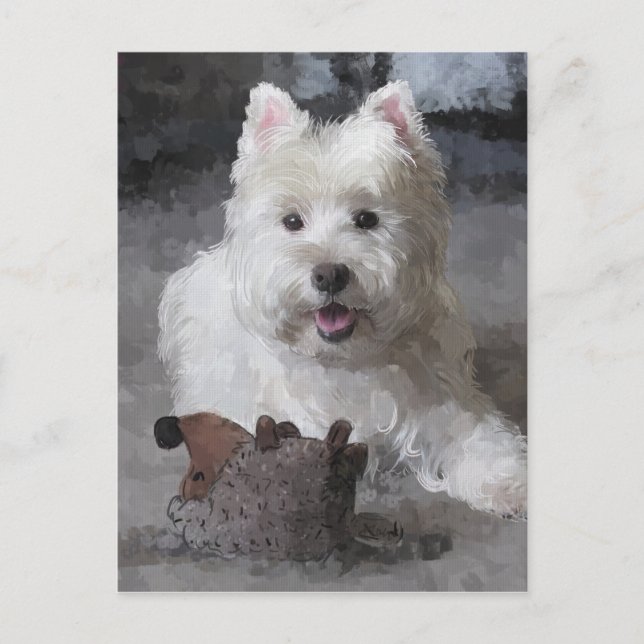 Cartão Postal Rosa com um novo brinquedo (Frente)