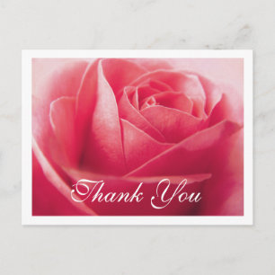 Cartão Postal Rosa Cor-de-Rosa Floral Obrigado Flor Festa de Cas