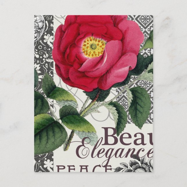 Cartão Postal Rosa Damasco Bonito Antígua Floral (Frente)