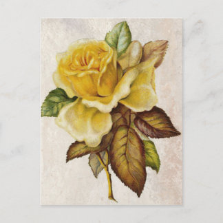 Cartão Postal Rosa de Imagem Amarela