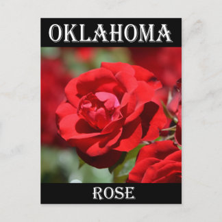 Cartão Postal Rosa de Oklahoma