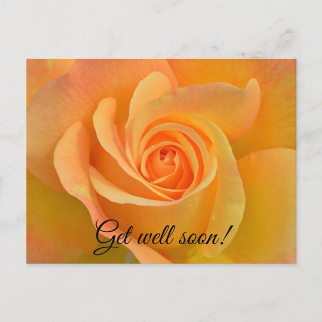 Cartão Postal Rosa de recuperação (Frente)