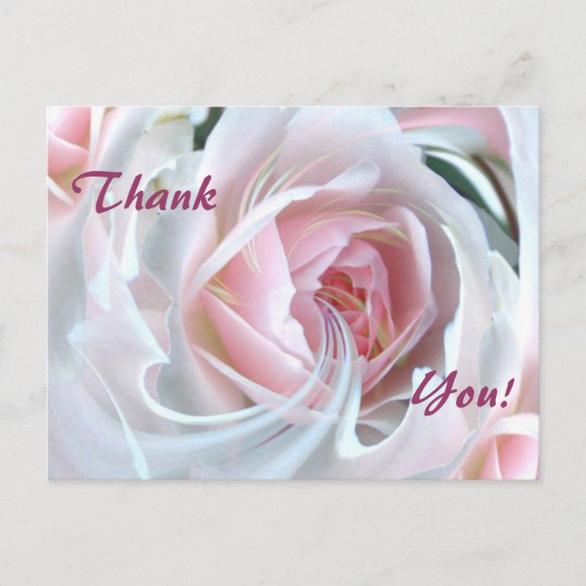 Cartão Postal Rosa delicioso com efeitos de mármore (Frente)