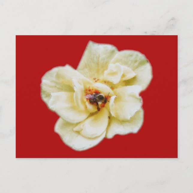 Cartão Postal Rosa e Abelha (Frente)