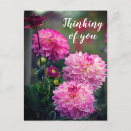 Cartão Postal Rosa e White Dahlia Flores Pensando em você