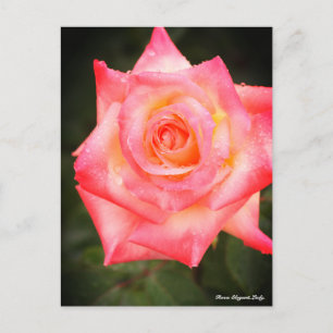 Cartão Postal Rosa Elegante Lady