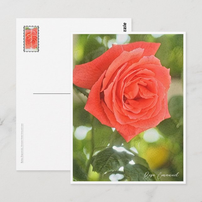 Cartão Postal Rosa Emanuel (Frente/Verso)