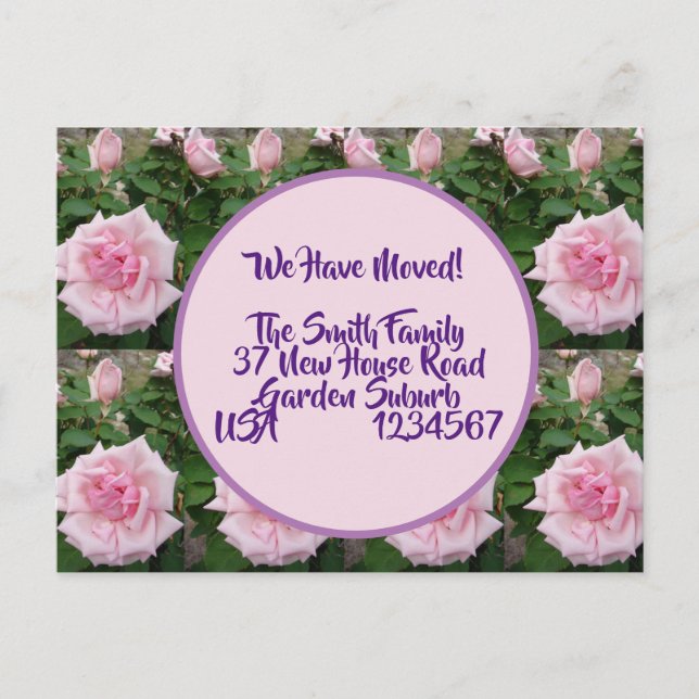 Cartão Postal Rosa Flores Novo Cartão-Postal De Endereço, Estamo (Frente)