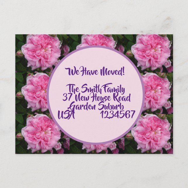 Cartão Postal Rosa Flores Novo Cartão-Postal De Endereço, Estamo (Frente)
