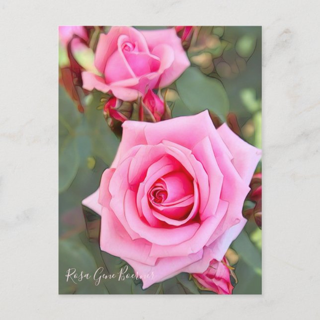 Cartão Postal Rosa Gene Boerner [Cartão-postal] (Frente)