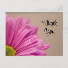Cartão Postal Rosa Gerber Daisy Obrigado