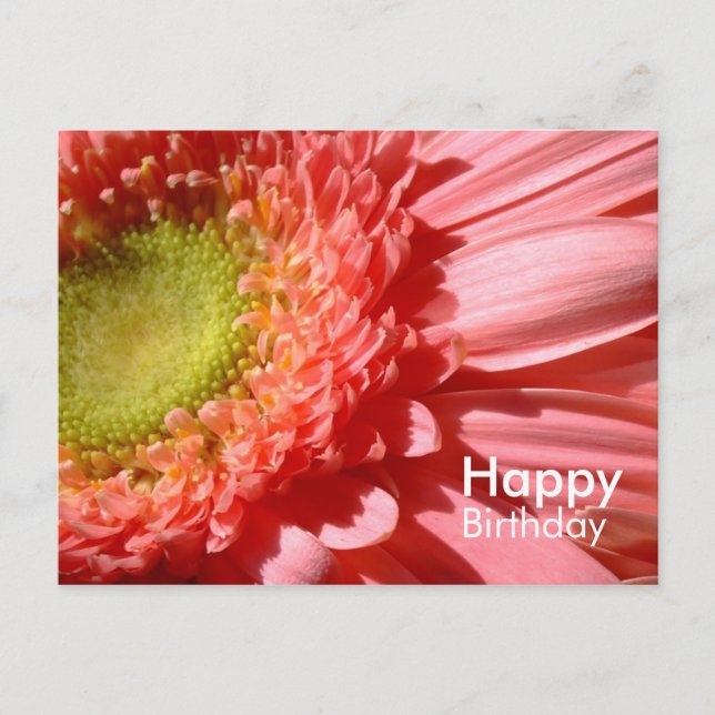 Cartão Postal Rosa Gerbera - Feliz Aniversário (Frente)
