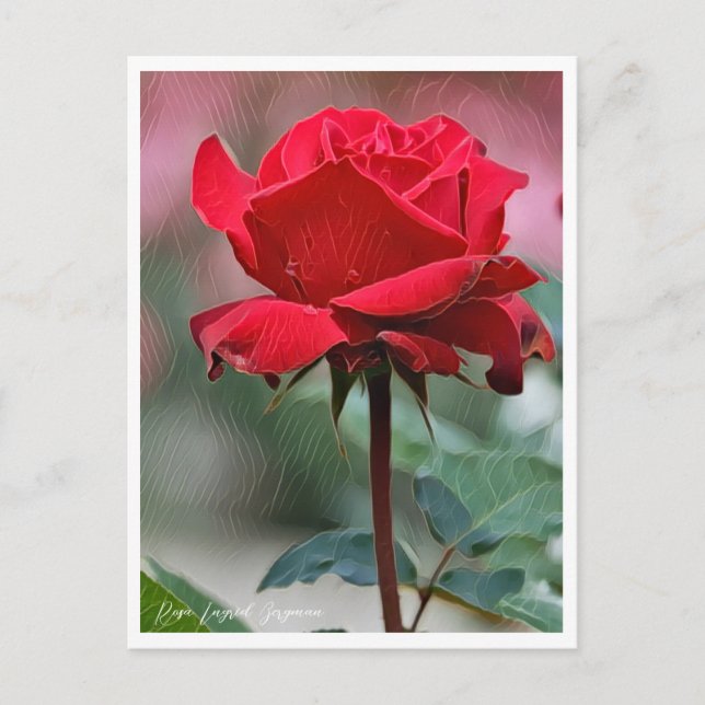 Cartão Postal Rosa Ingrid Bergman (Frente)