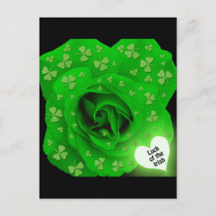 Cartão Postal Rosa irlandês - Sorte dos irlandeses