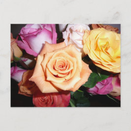 Cartão Postal Rosa laranja