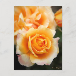 Cartão Postal Rosa "Manyo":Cartão postal
