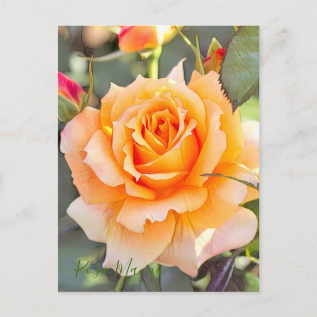 Cartão Postal Rosa "Manyo" [Cartão postal] (Frente)