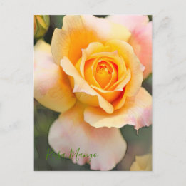 Cartão Postal Rosa "Manyo" [Cartão postal]