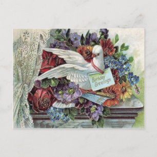 Cartão Postal Rosa Margarida Não-Me-Esqueças Pombo