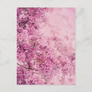 Cartão Postal Rosa no Rosa