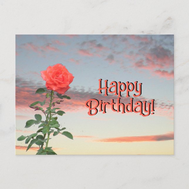 Cartão postal - Rosa no Sunset (Frente)