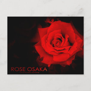 Cartão Postal Rosa Osaka:Cartão postal