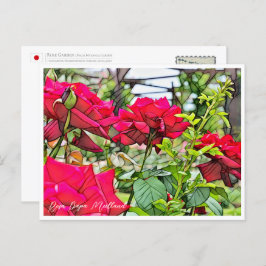 Cartão Postal Rosa Papa Meilland