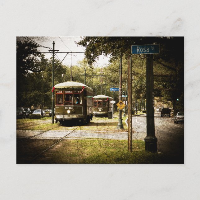 Cartão Postal Rosa Park Drive Streetphones (Frente)