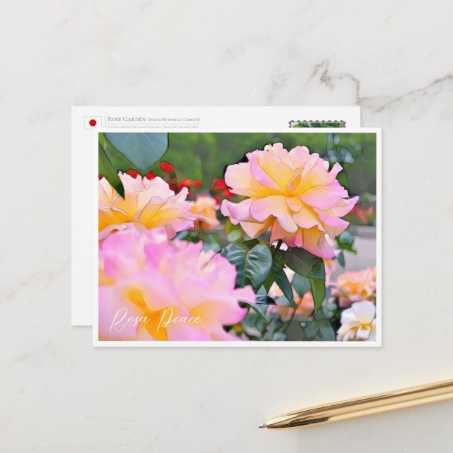 Cartão Postal Rosa Peace (Frente/Verso In Situ)