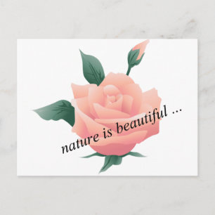 Cartão Postal Rosa (Peach) - Natureza bonita