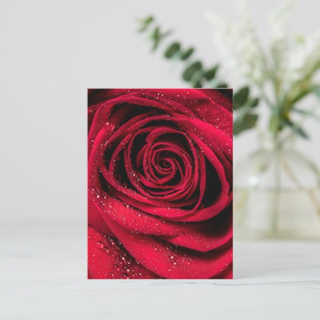 Cartão Postal Rosa Petals 1 (Em pé/Frente)
