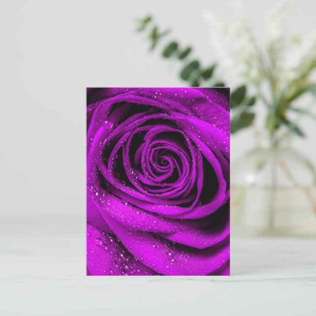 Cartão Postal Rosa Petals 2 (Em pé/Frente)