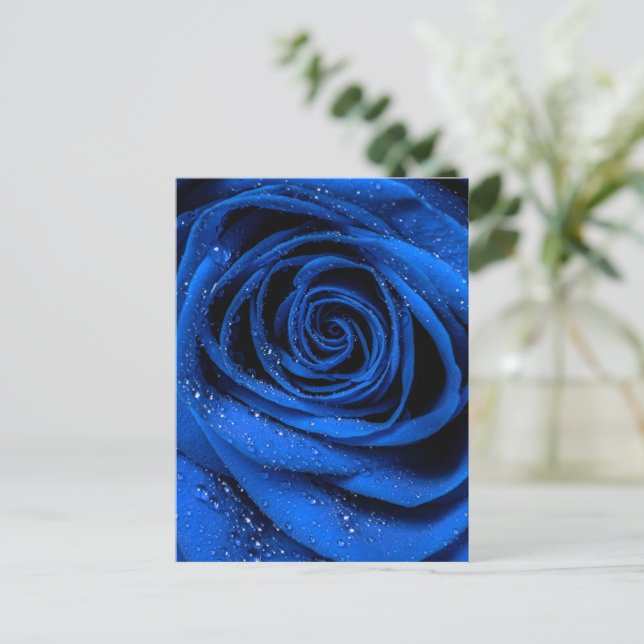 Cartão Postal Rosa Petals 3 (Em pé/Frente)