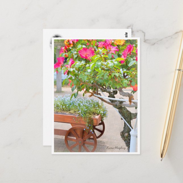 Cartão Postal Rosa Playboy (Frente/Verso In Situ)