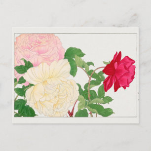Cartão Postal Rosa por Tanigami Konan