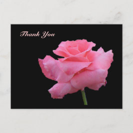 Cartão Postal Rosa Postal