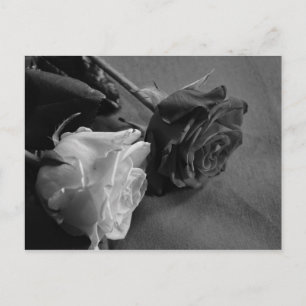 Cartão Postal Rosa Preta e Branca