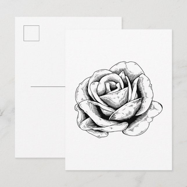 Cartão Postal Rosa preta e branca (Frente/Verso)