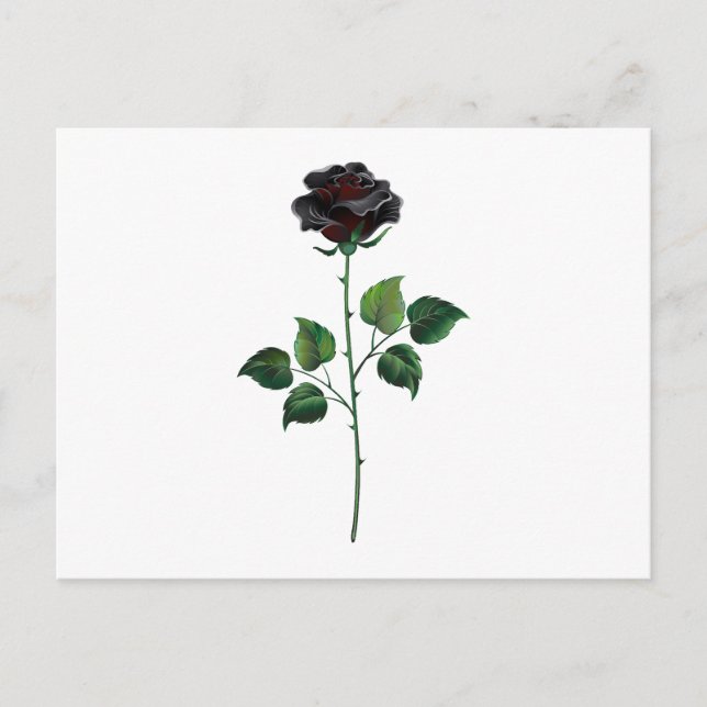 Cartão Postal Rosa preto (Frente)