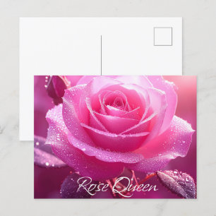 Cartão Postal Rosa Queen (edição rosa)