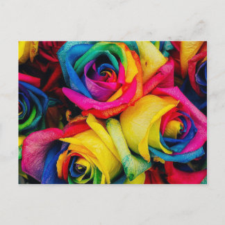 Cartão Postal Rosa Rainbow
