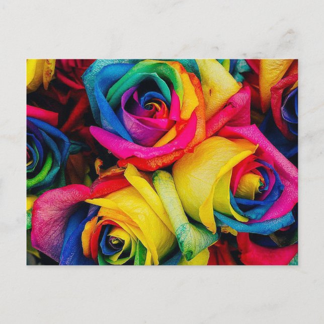 Cartão Postal Rosa Rainbow (Frente)