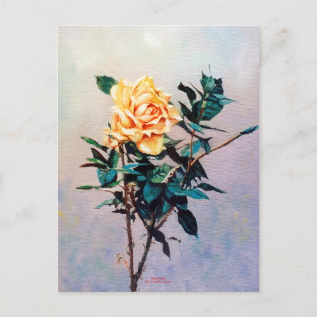 Cartão Postal Rosa/Rosa (Frente)