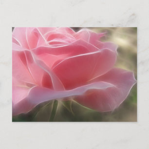 Cartão Postal Rosa Rosa Rosa Rosa Rosa 3 Angélica