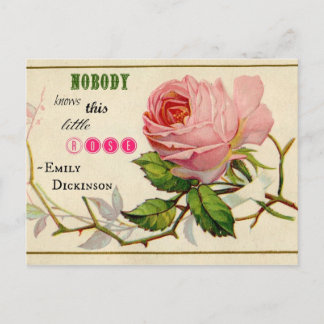 Cartão postal Rosa Rosa Rosa Rosa Vintage Shabby