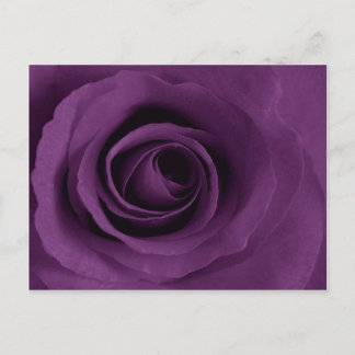 Cartão Postal Rosa Roxo de Artsy